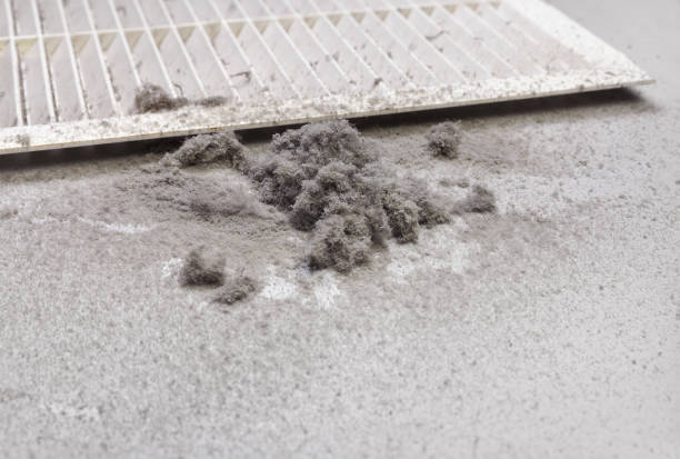Best Home Air Vent Cleaning  in Lancaster, TX