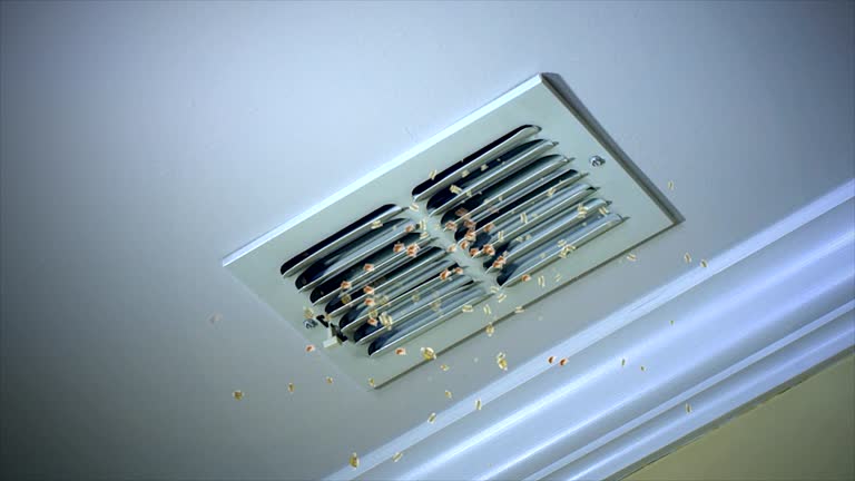 Best Commercial HVAC Duct Cleaning  in Lancaster, TX