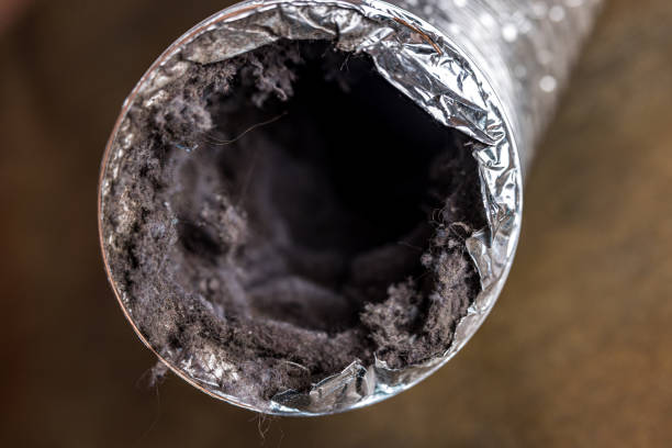 Best Air Vent Cleaning Services  in Lancaster, TX